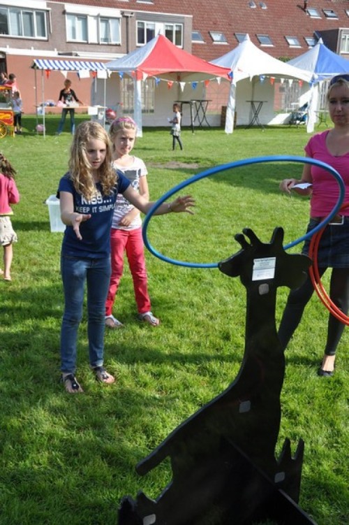 Hoepelgooien - Giraffe 